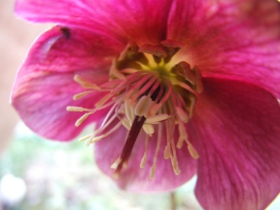 DSCF2728.JPG