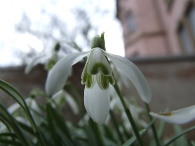 DSCF2726.JPG