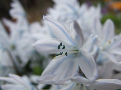 DSCF2721.JPG