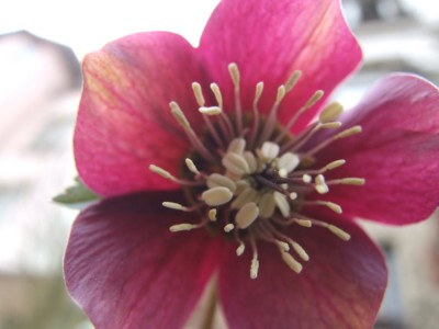DSCF2716.JPG