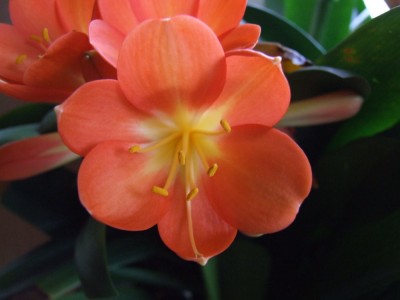 DSCF2697.JPG