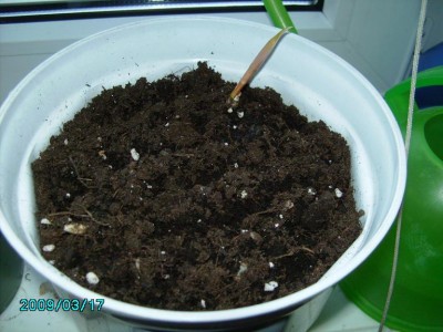 PICT0580.JPG