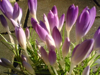 DSC00090.JPG