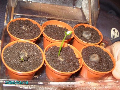 PICT0572.JPG