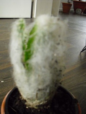 CIMG0791 [640x480].JPG