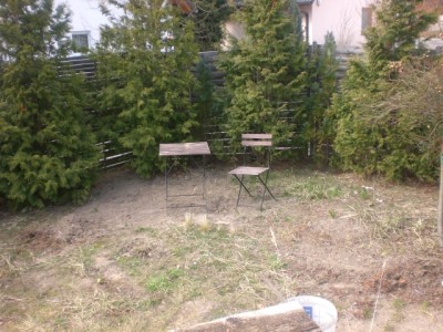 Bild 314.jpg