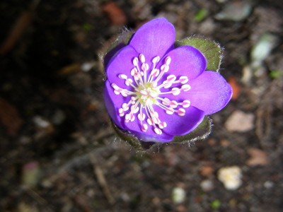 dscn9086_1.jpg