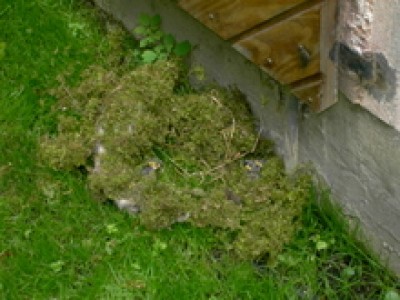PICT0172.JPG