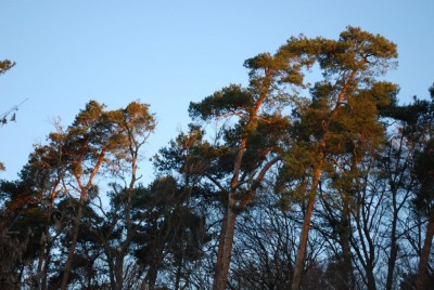 morgenimpressionen.jpg