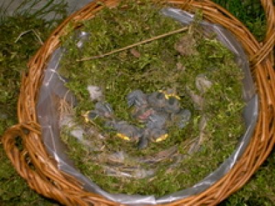 PICT0180.JPG