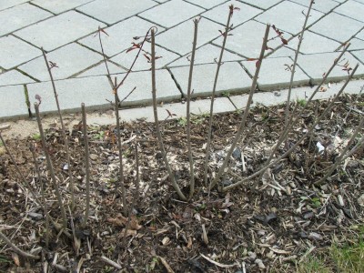DSCF6180_kleiner.JPG