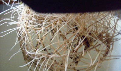 S7301351.JPG