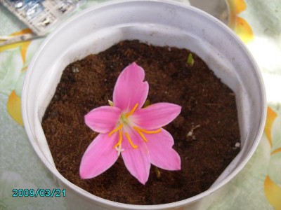 PICT0600.JPG