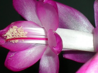 RSCN32780001.JPG