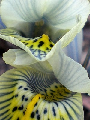 RSCN32880001.JPG