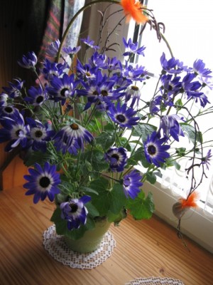 Hannahs Blume.JPG