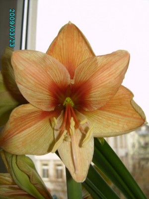 PICT0618.JPG