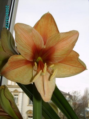 PICT0619.JPG