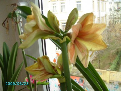PICT0621.JPG