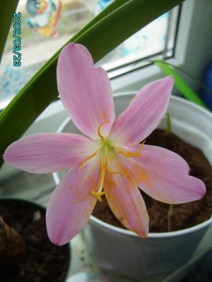 PICT0620.JPG