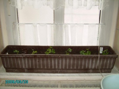 PICT0627.JPG