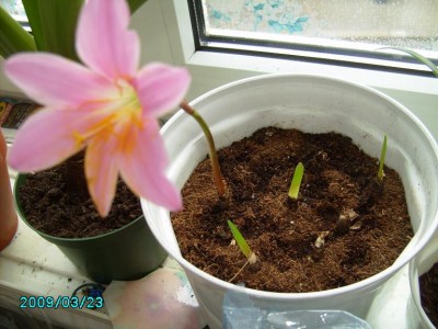 PICT0633.JPG