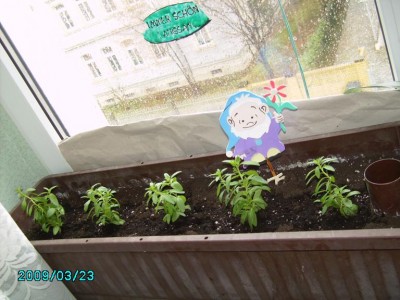 PICT0639.JPG