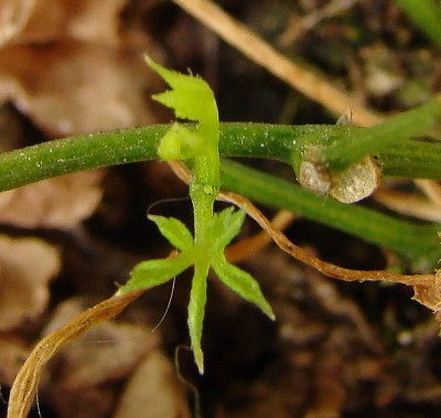 23.03.2009 013.jpg