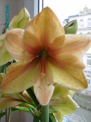 PICT0649.JPG