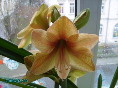 PICT0645.JPG