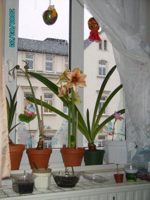 PICT0643.JPG