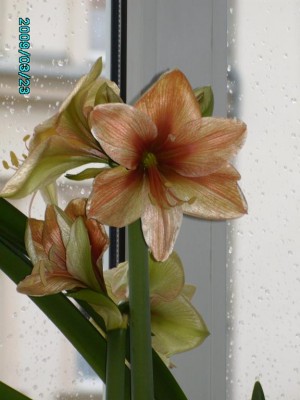 PICT0642.JPG