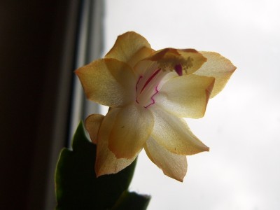 DSCI0002 - Kopie.JPG