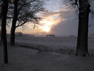 xEvenburgallee (19).JPG