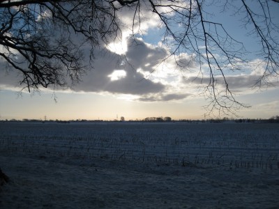 xEvenburgallee (13).JPG