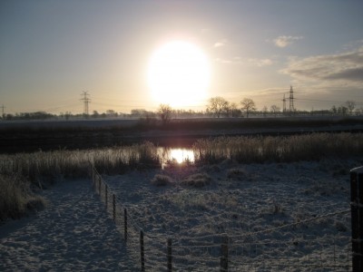 xDeich beim Park (3).JPG