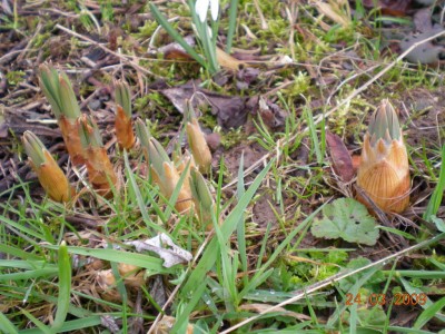 DSCN33240001.JPG