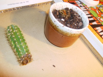 IMAG0046.JPG
