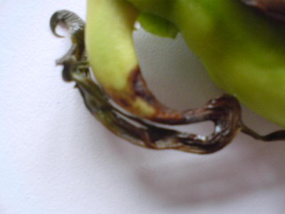 DSC00082.JPG