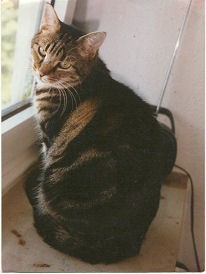 Henry01.jpg