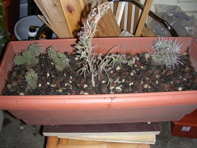 dscn9169_1.jpg