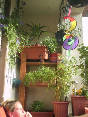 Allerlei 08.2008 053.jpg