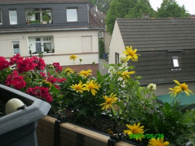 Balkon 05.2007 027.jpg