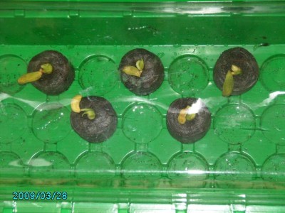 PICT0659.JPG