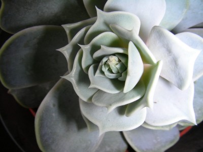 dscn9188_1.jpg