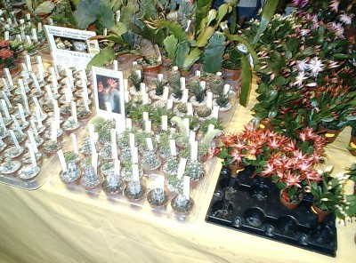 DSCS0028.JPG