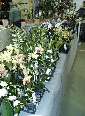 DSCS0042.JPG