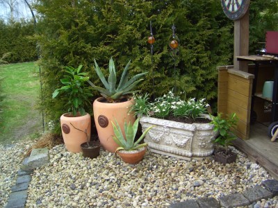 Malter am 28.3.09 011.jpg