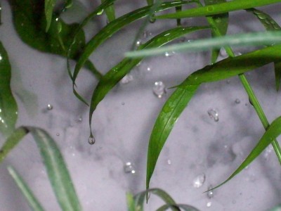 Wasser 2.jpg