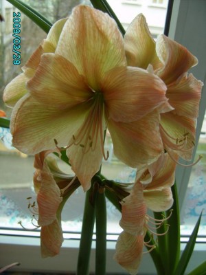 PICT0673.JPG